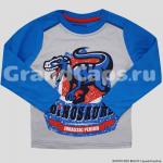 Лонгслив для мальчика Bonito Kids