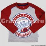 Лонгслив для мальчика Bonito Kids