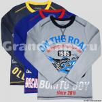 Лонгслив для мальчика Bonito Kids