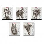Тетрадь общая  Wild Horse, 48 листов, клетка