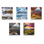 Тетрадь общая  Краски природы, 48 листов, линейка