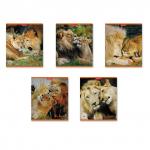 Тетрадь общая ErichKrause® It's Love, 96 листов, клетка