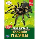 "УМКА". БОЛЬШИЕ ПАУКИ (ЭНЦИКЛОПЕДИЯ А4 С РАЗВИВАЮЩИМИ ЗАДАНИЯМИ). ТВЕРДЫЙ ПЕРЕПЛЕТ в кор.15шт