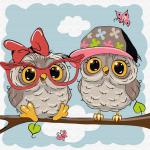 KH0850 Картина по номерам (20Х20) МАЛЕНЬКИЕ СОВЯТА (12 цветов) 1/60