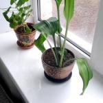 Пленка ПВХ  для подоконников