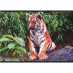 Альбом для рисования, А4, 210х297 мм, 12 л, скоба, 100 г/м2, картон мелованный, ANIMAL PLANET, 2 дизайна, белый