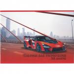 Альбом для рисования, А4, 210х297 мм, 24 л, скоба, 100 г/м2, картон мелованный, МАШИНЫ, 2 дизайна, белый