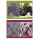 Альбом для рисования, А4, 210х297 мм, 40 л, скоба, 100 г/м2, картон мелованный, СОБАЧКИ, 2 дизайна, белый