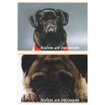 Альбом для рисования, А4, 210х297 мм, 40 л, скоба, 100 г/м2, картон мелованный, СОБАЧКИ, 2 дизайна, белый