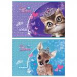 Альбом для рисования, А4, 210х297 мм, 8 л, скоба, 100 г/м2, картон мелованный, ACTION!, 2 дизайна, белый