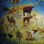 Глобус зоогеографический Globen Классик Евро, диаметр 250 мм, детский, Ке012500269