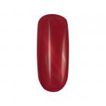 Гель лак Fiore магнитный №421 Deja vu (Дежавю)