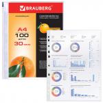 .Папки-файлы перфорированные А4 BRAUBERG, КОМПЛЕКТ 100 шт., матовые, 30 мкм, 221991