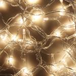 СНОУ БУМ Гирлянда электрическая вьюн 9м, 100LED, шампань, пост. свечение, прозр. провод, 220В