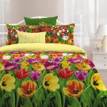 КПБ 2.0 био комфорт "Любимый дом" (70х70) рис. 6505-1/11916-85 Цветы Голландии