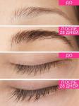 Сыворотка для роста ресниц и бровей XXLashes