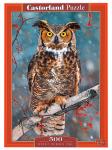 Castorland Пазл 500 эл.Филин B-52387