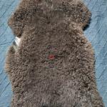 Шкура, натуральная овечья.