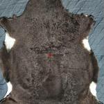 Шкура натуральная овечья.