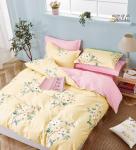 КПБ Boris Dense BORD161