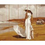 KD0727 Картина по номерам на дереве (40х50) В СТИЛЕ РЕТРО  (20 цветов) 1/12