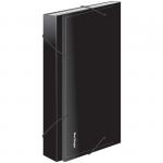 Папка 13 отделений Berlingo Standard, А4, 700 мкм, на резинке, черная, ANp_04111