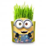 NEW Набор для выращивания Вырасти меня! Миньоны Боб (дой-пак)