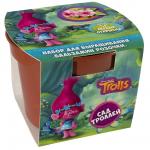 NEW Наборы для  выращивания Вырасти  меня Сад Троллей Бальзамин Розочки( Горшочек)*