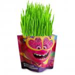 NEW Наборы для  выращивания  Вырасти  меня  Тролли Розочка(Дой-пак)