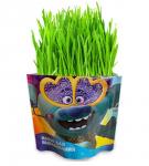 NEW Наборы для  выращивания "Вырасти  меня" Тролли  Цветан(Дой-пак)