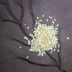 Высушенный корень сельдерея