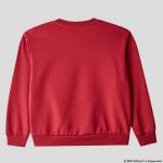 Свитшот для мальчика Elaria