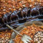 Мускатный цвет (мацис, булава), цельный