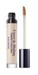 Консилер жидкий с кисточкой, светлый беж Cover & Hiding Liquid Concealer 01