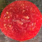 Томат Башкирский красавец 5шт. Семена