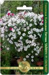 Петуния гигантская каскадная Тайфун F1 Сильвер. Семена.