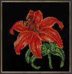 Набор для вышивания "Радуга бисера" В-139   "Королева ночи"