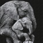 KHM0045 Картина по номерам (30х30) БОЛЬШАЯ ЗАБОТА (7 цветов) 1/23