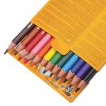 Карандаши цветные утолщенные BIC "Kids Evolution Triangle", 12 цв, пластик, трехгранные, 8297356