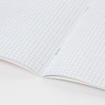 Тетрадь 12л. BRAUBERG КЛАССИКА NEW клетка, обложка картон, ЗЕЛЕНАЯ, 105684