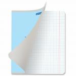 Тетрадь 12л. BRAUBERG КЛАССИКА NEW клетка, обложка картон, СИНЯЯ, 105686