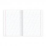 Тетрадь 12л. BRAUBERG КЛАССИКА NEW косая линия, обложка картон, ЗЕЛЕНАЯ, 105688