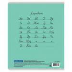 Тетрадь 12л. BRAUBERG КЛАССИКА NEW частая косая с дополнительной горизонтальной, обл.картон, ЗЕЛЕНАЯ