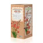 «Иван-чай классический» в фильтр-пакетах