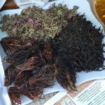 «Иван-чай с красной щёткой и душицей»