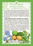 Масляный бальзам «Орехово-полынный» (против паразитов) 250 мл