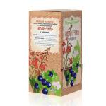 «Иван-чай с черникой» в фильтр-пакетах