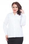 Блуза Wisell  М5-3358/21
