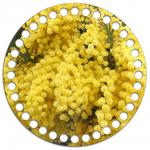 *Круг 15 см. Мимоза