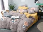 19010 Комплект постельного белья